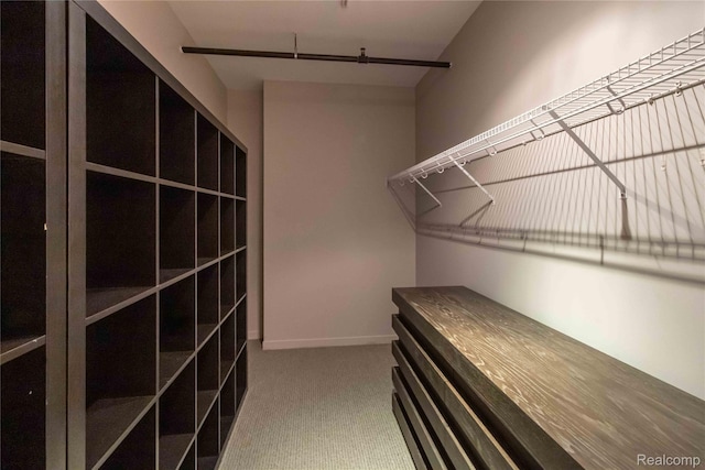 100 N Center St Unit 302, Royal Oak, MI 48067 - walk in closet with carpet flooring