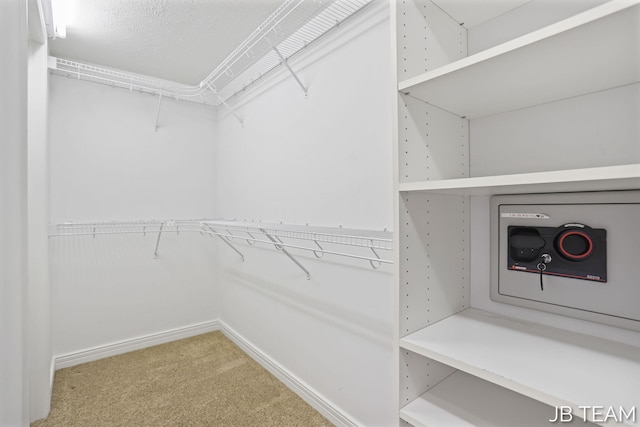 6579 Partridge Ln, Holland, MI 49423 - spacious closet featuring carpet flooring