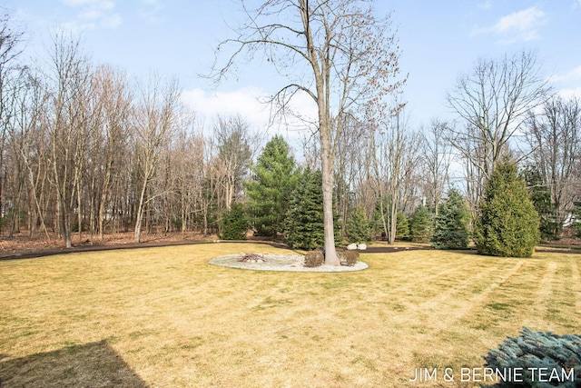 6579 Partridge Ln, Holland, MI 49423 - view of green lawn