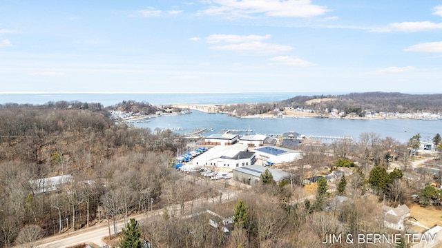 6579 Partridge Ln, Holland, MI 49423 - bird's eye view of a large body of water