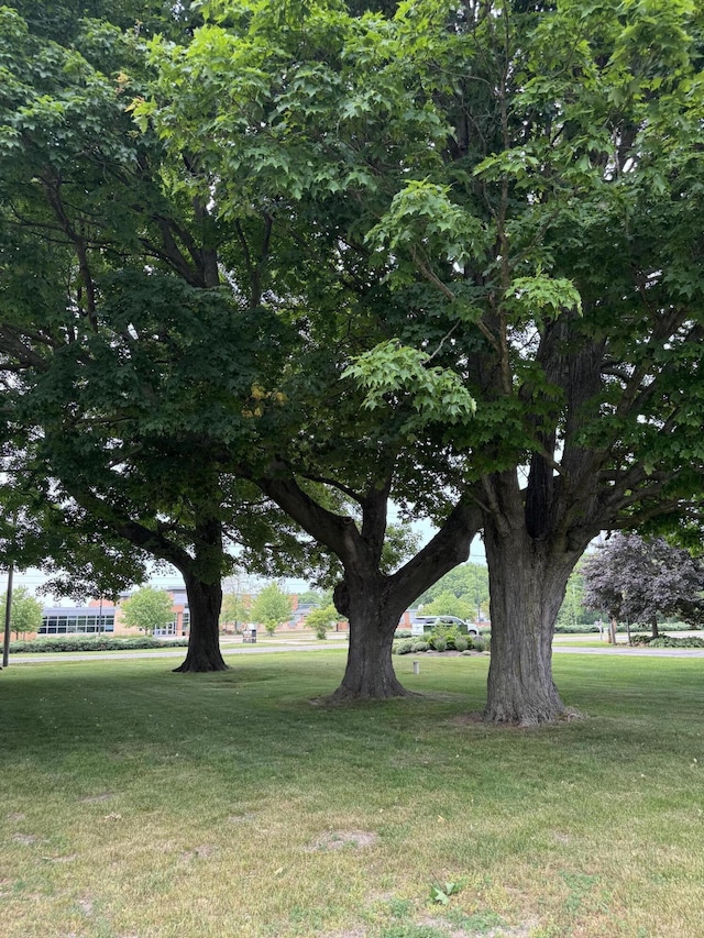 4850 136th Ave, Hamilton, MI 49419 - view of grassy yard