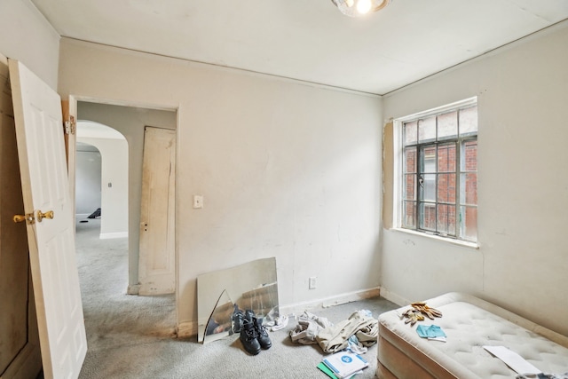 bedroom with arched walkways and carpet floors