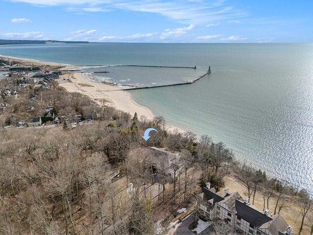 501 Michigan Ave, Frankfort, MI 49635 - photo 48