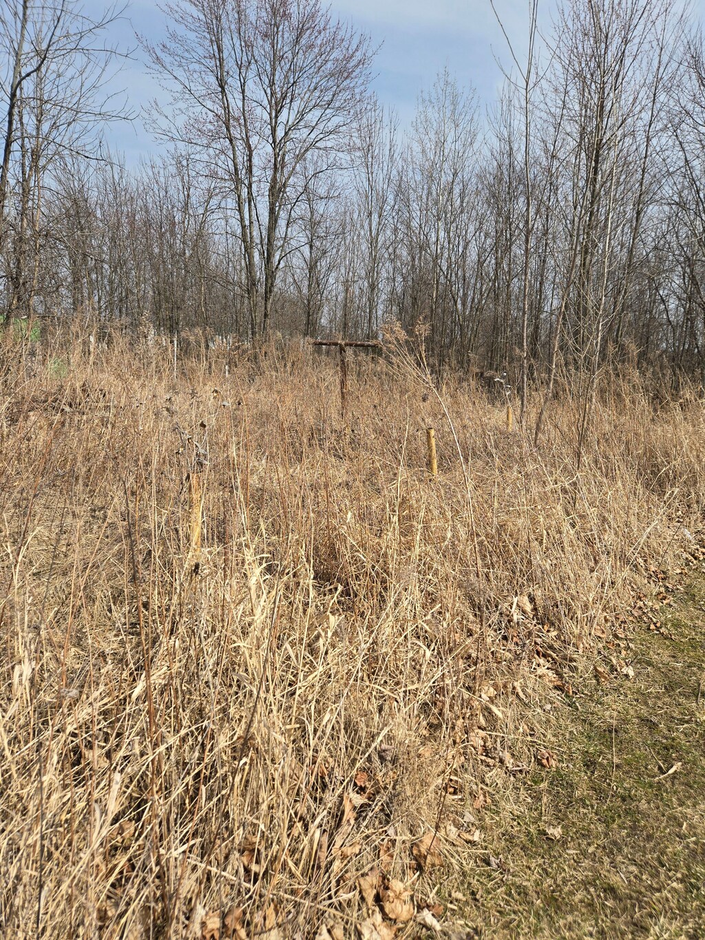 3840 N Durand Rd, Corunna, MI 48817 - photo 1