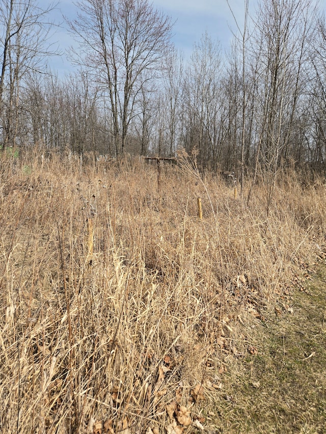 3840 N Durand Rd, Corunna, MI 48817 - photo 1