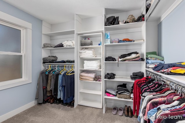 walk in closet featuring carpet