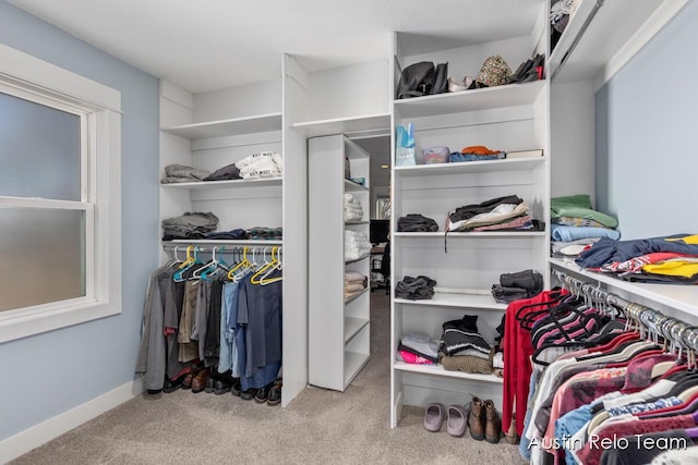 walk in closet featuring carpet