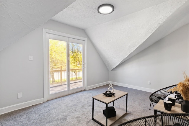 additional living space with carpet flooring, a textured ceiling, and baseboards