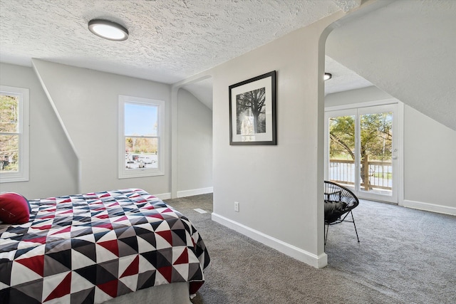 bedroom featuring multiple windows, carpet, and access to outside
