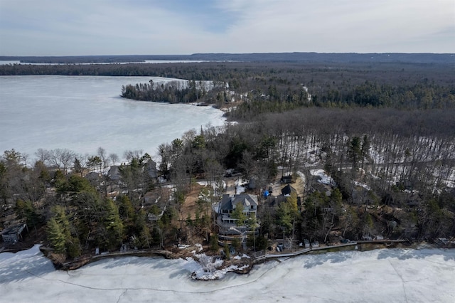 drone / aerial view with a forest view and a water view