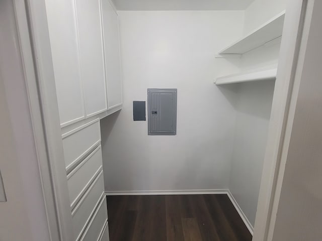 spacious closet with electric panel and dark wood-type flooring