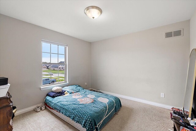 49677 Monarch Dr, Macomb, MI 48044 - photo 31
