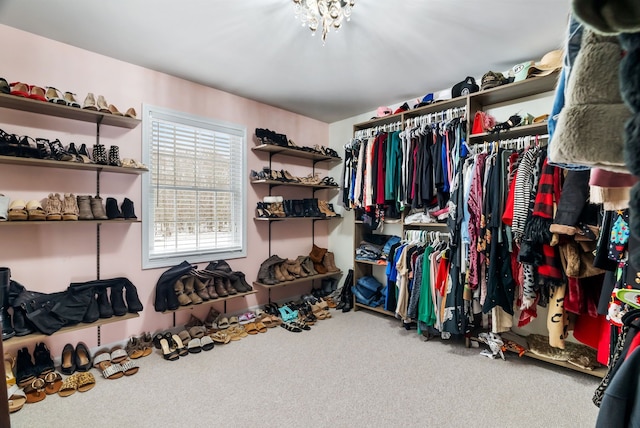 walk in closet with carpet flooring
