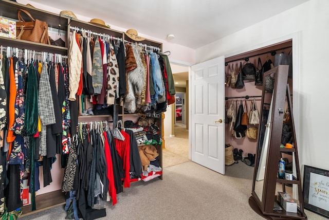 walk in closet featuring carpet floors