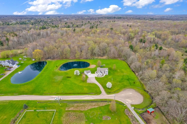 drone / aerial view with a water view and a view of trees