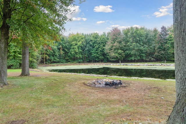 9247 Schrepfer Rd, Howell, MI 48855 - view of yard featuring a water view, a view of trees, and an outdoor fire pit