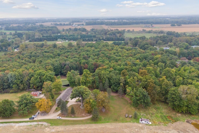 9247 Schrepfer Rd, Howell, MI 48855 - bird's eye view