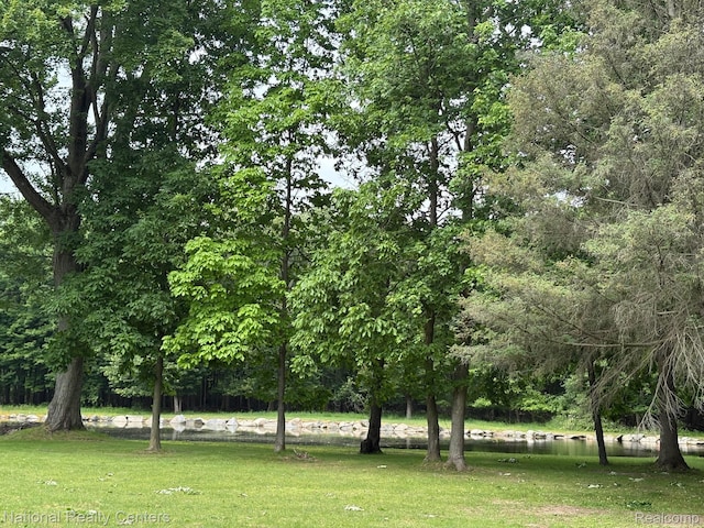 9247 Schrepfer Rd, Howell, MI 48855 - view of green lawn