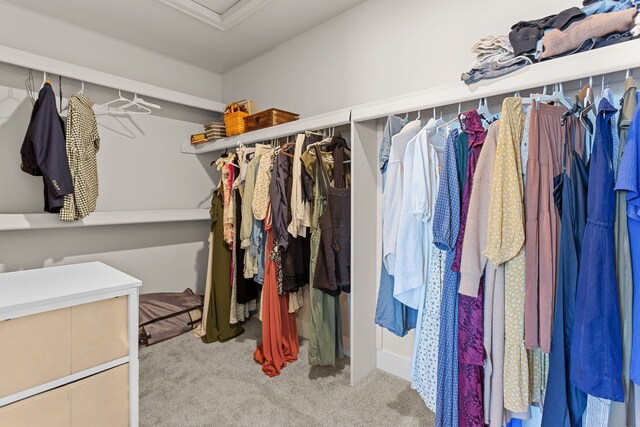 spacious closet with carpet and attic access