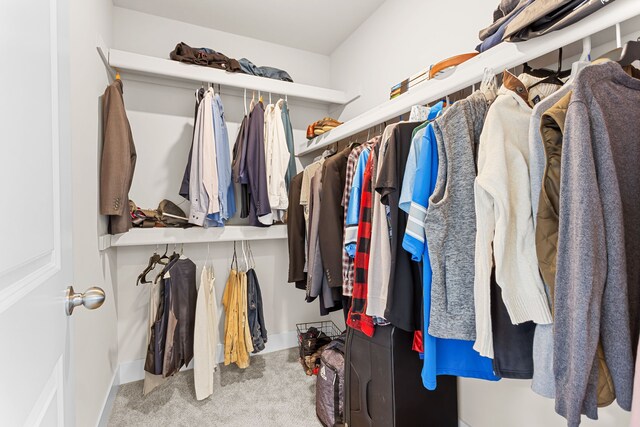 spacious closet featuring carpet flooring
