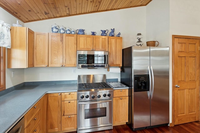 kitchen featuring lofted ceiling, appliances with stainless steel finishes, dark wood-style floors, and wooden ceiling