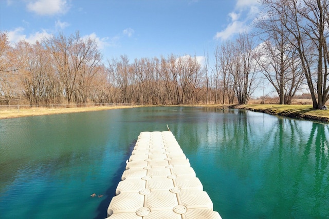 dock area featuring a water view