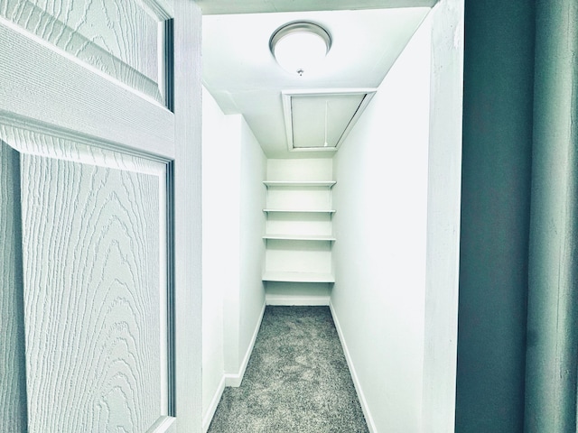 walk in closet with dark carpet and attic access