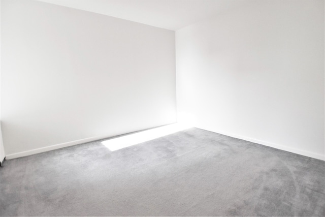 spare room featuring carpet