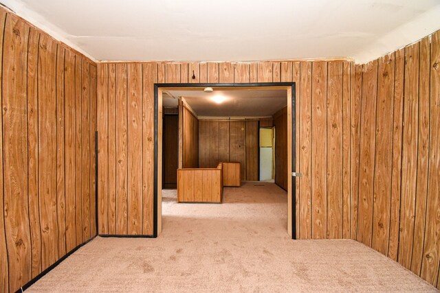spare room with wood walls and carpet floors