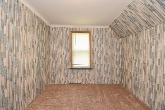 empty room featuring carpet