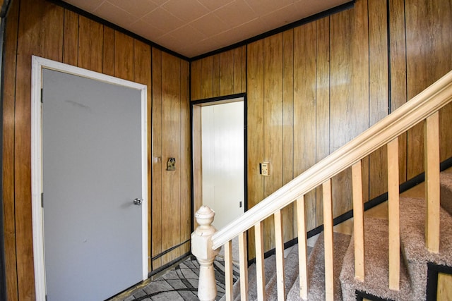 stairway with wood walls