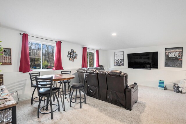 14561 Bigleaf Dr, West Olive, MI 49460 - photo 29