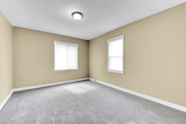 spare room featuring a wealth of natural light, baseboards, and carpet flooring