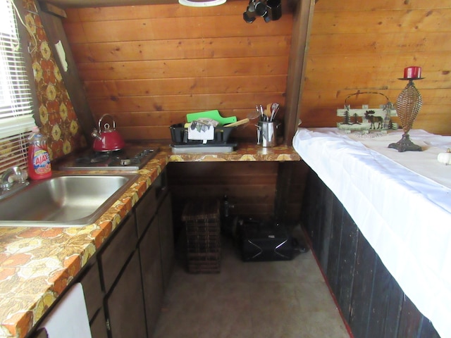 5892 Woodland Dr, Lake, MI 48632 - interior space featuring a sink and wood walls