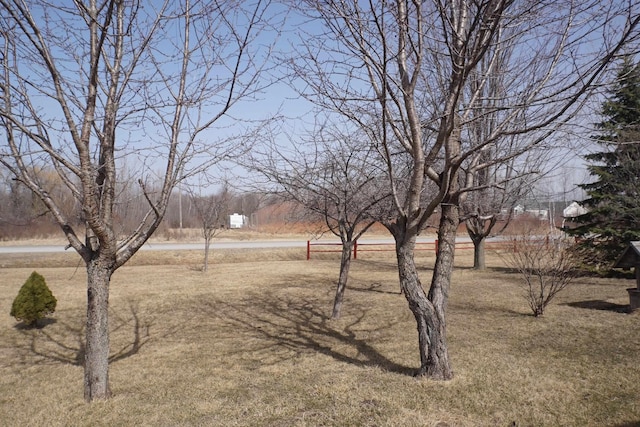 1758 Manor Rd, Au Gres, MI 48703 - view of yard