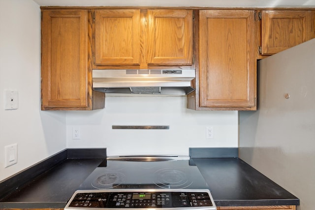 131 E Jolly Rd Unit E6, Lansing, MI 48910 - kitchen with under cabinet range hood, brown cabinets, and dark countertops
