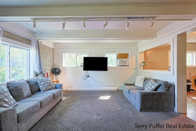 living room featuring track lighting, plenty of natural light, and carpet floors