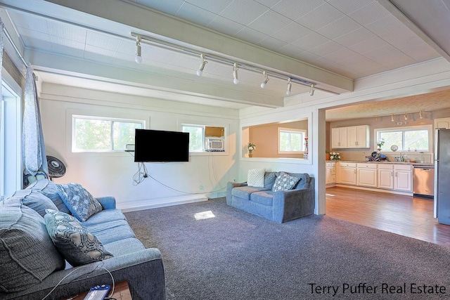 living area with carpet, track lighting, plenty of natural light, and beam ceiling