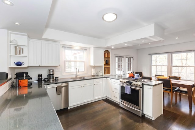 9696 Union Pier Rd, Union Pier, MI 49129 - kitchen with a sink, open shelves, a peninsula, stainless steel appliances, and dark wood-style flooring