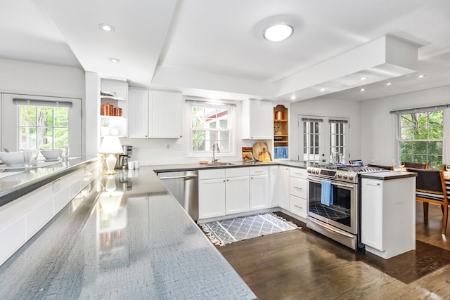 9696 Union Pier Rd, Union Pier, MI 49129 - kitchen with open shelves, appliances with stainless steel finishes, a sink, a peninsula, and recessed lighting