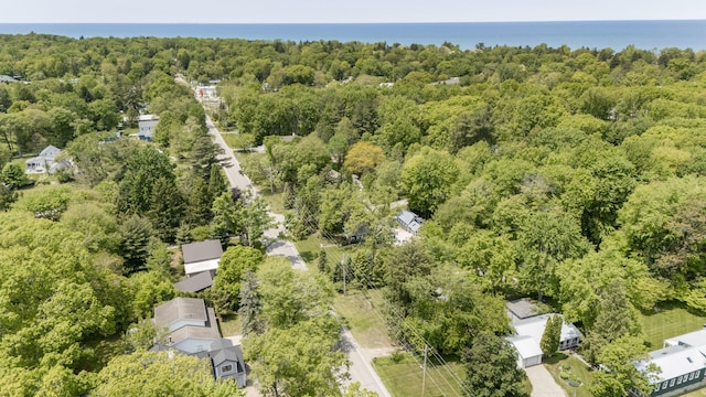 9696 Union Pier Rd, Union Pier, MI 49129 - aerial overview of property's location with a heavily wooded area and a nearby body of water