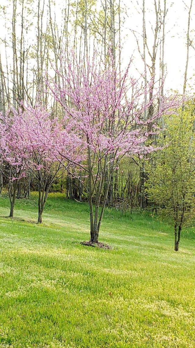 70255 51st St, Lawrence, MI 49064 - view of yard