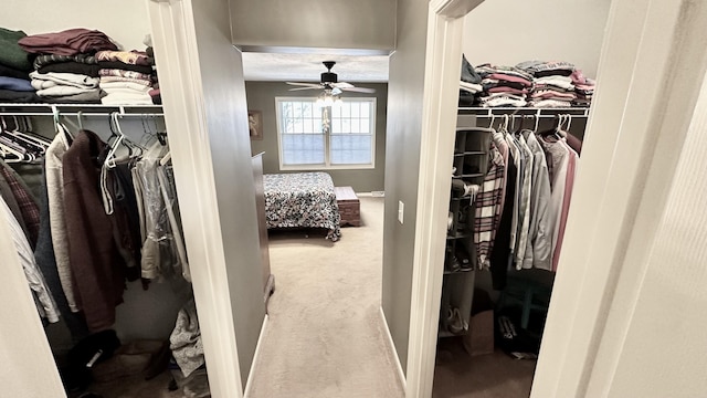 70255 51st St, Lawrence, MI 49064 - walk in closet with a ceiling fan and carpet flooring