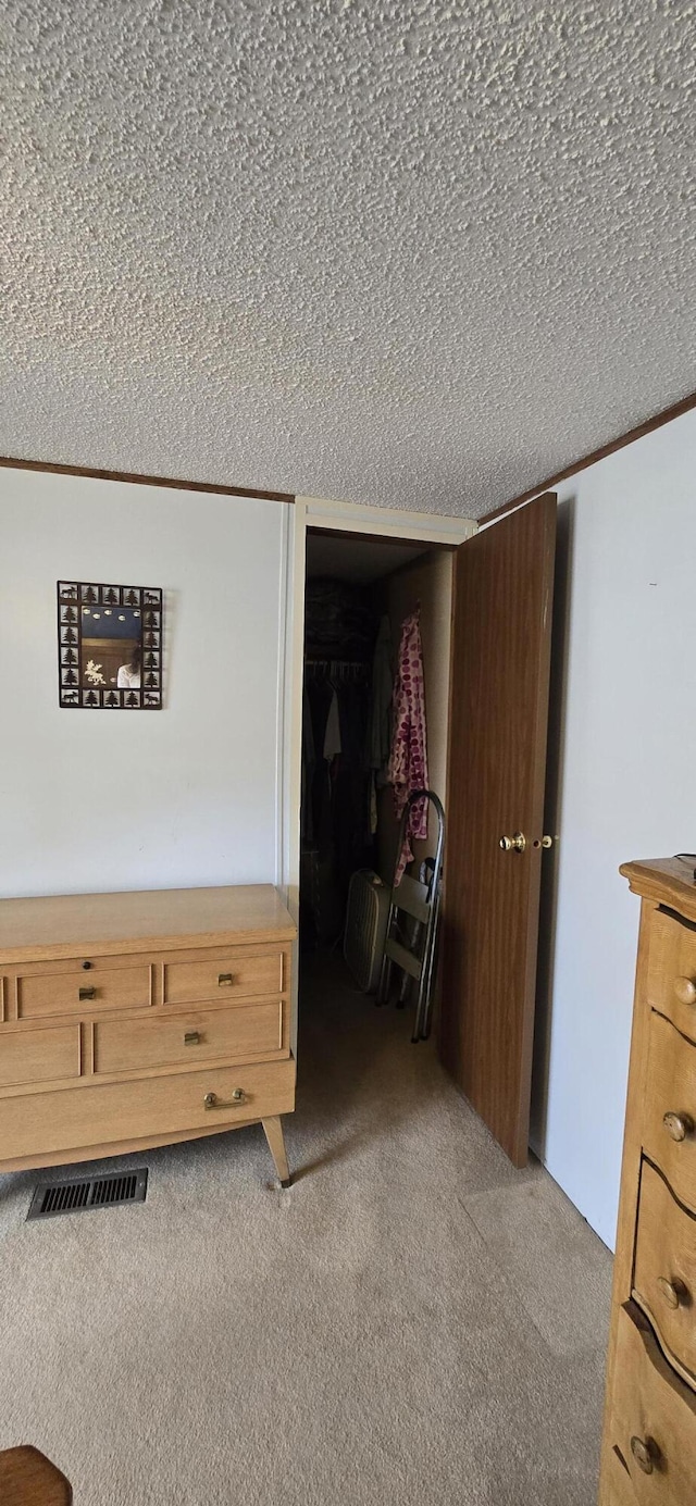 3867 Joseph St, Wellston, MI 49689 - detailed view of carpet flooring and a textured ceiling