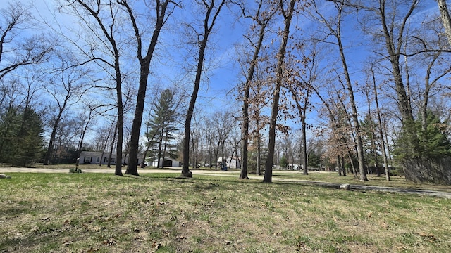 3867 Joseph St, Wellston, MI 49689 - view of yard