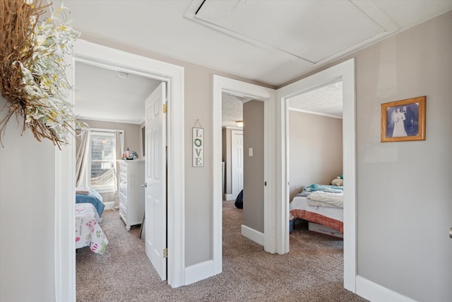 corridor featuring baseboards, carpet, and attic access