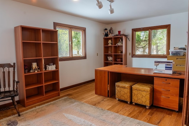 office featuring plenty of natural light, baseboards, and light wood-type flooring