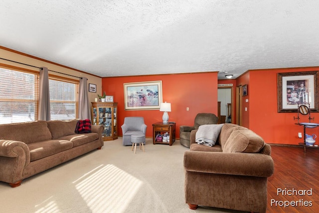living area featuring a textured ceiling, crown molding, and wood finished floors