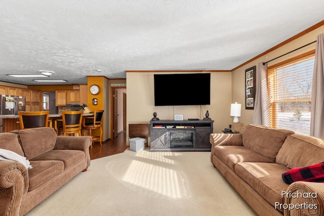 living room featuring a textured ceiling and ornamental molding