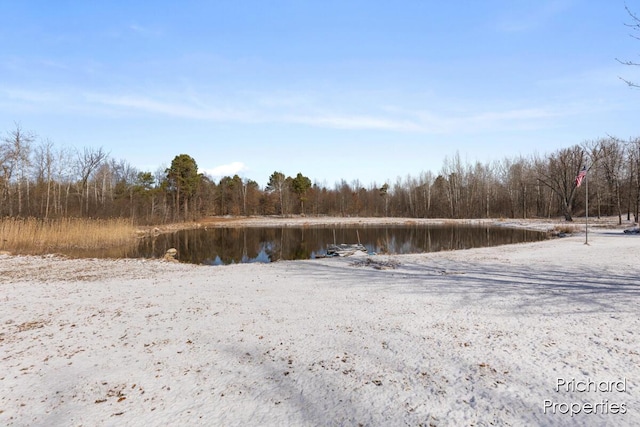 view of yard featuring a forest view and a water view